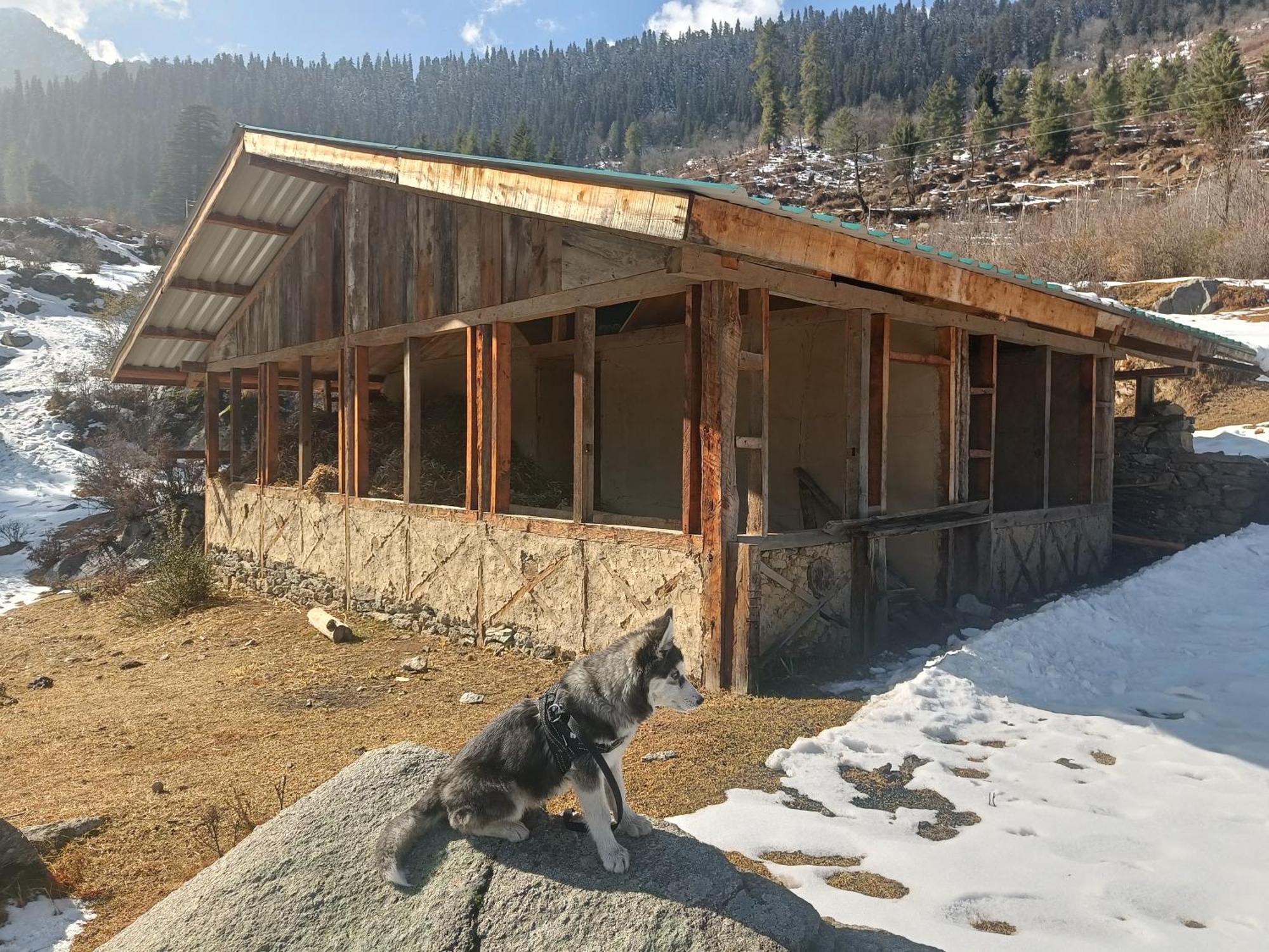 Trimounts-A Boutique Hotel & Wellnes Center In Tirthan Valley Banjar Bagian luar foto