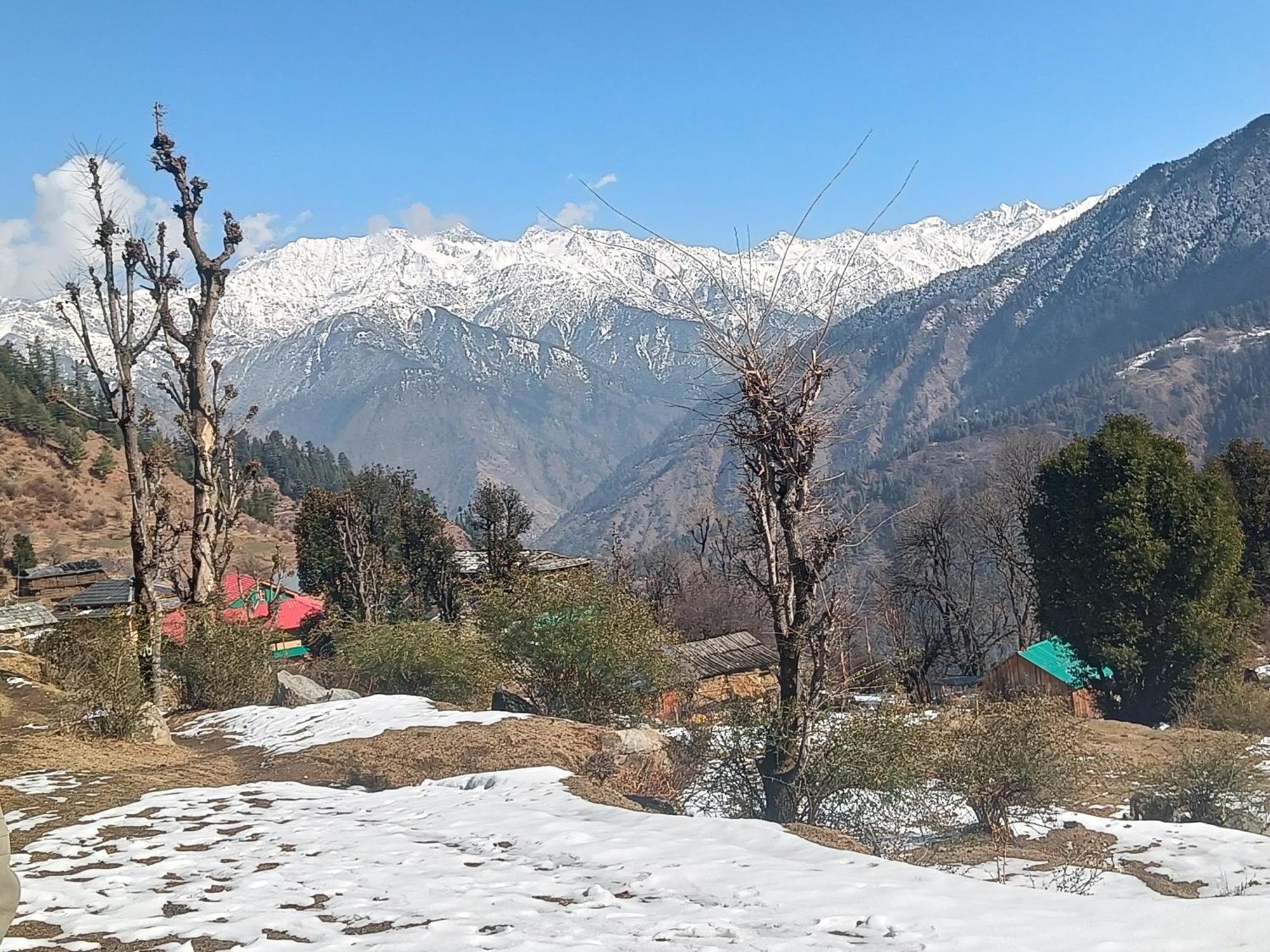 Trimounts-A Boutique Hotel & Wellnes Center In Tirthan Valley Banjar Bagian luar foto