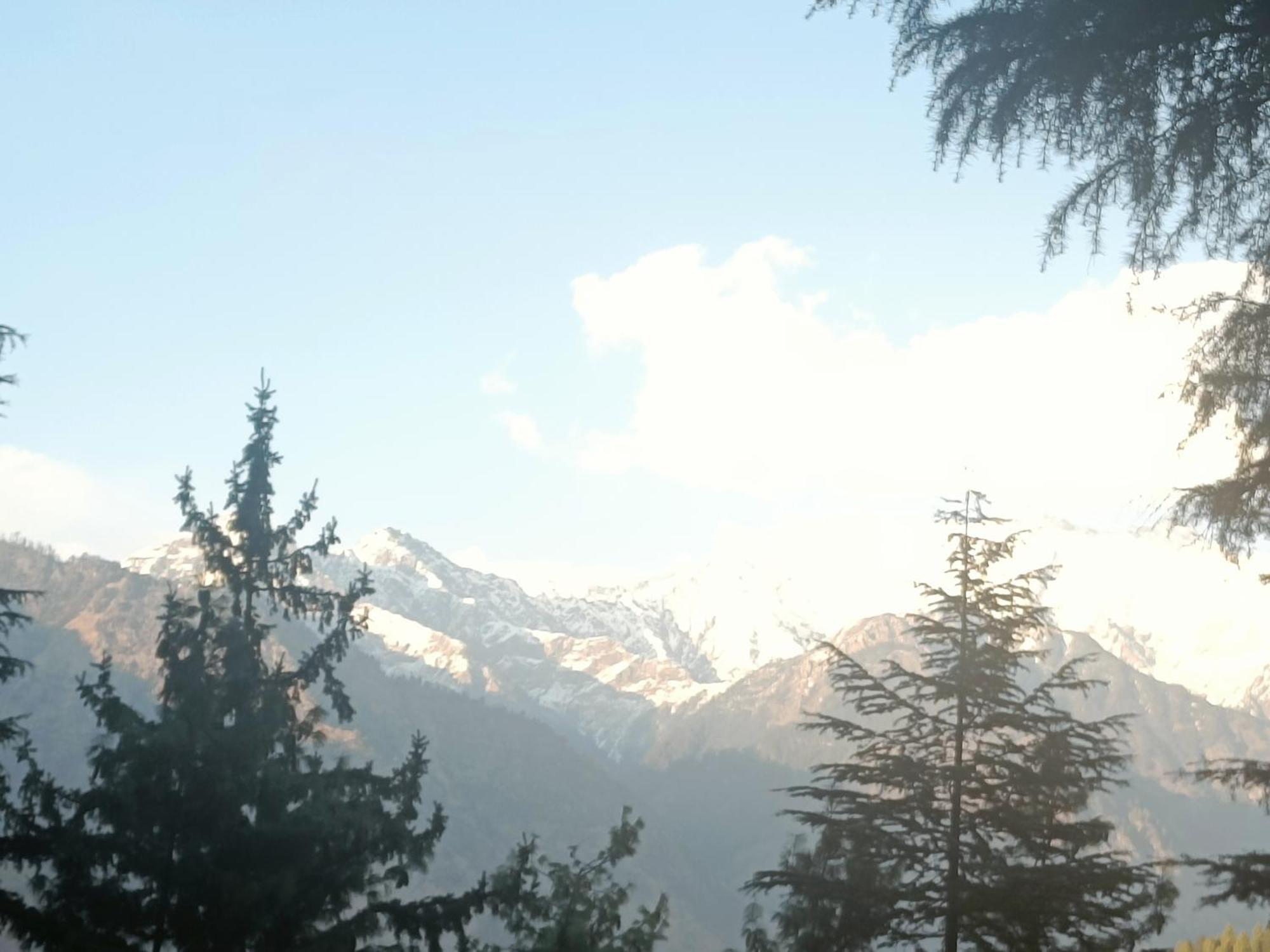 Trimounts-A Boutique Hotel & Wellnes Center In Tirthan Valley Banjar Bagian luar foto