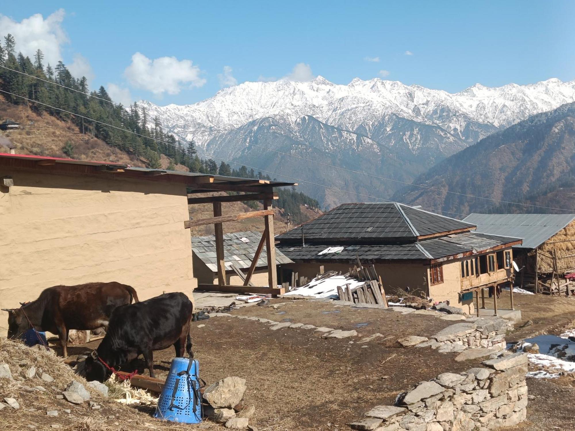 Trimounts-A Boutique Hotel & Wellnes Center In Tirthan Valley Banjar Bagian luar foto
