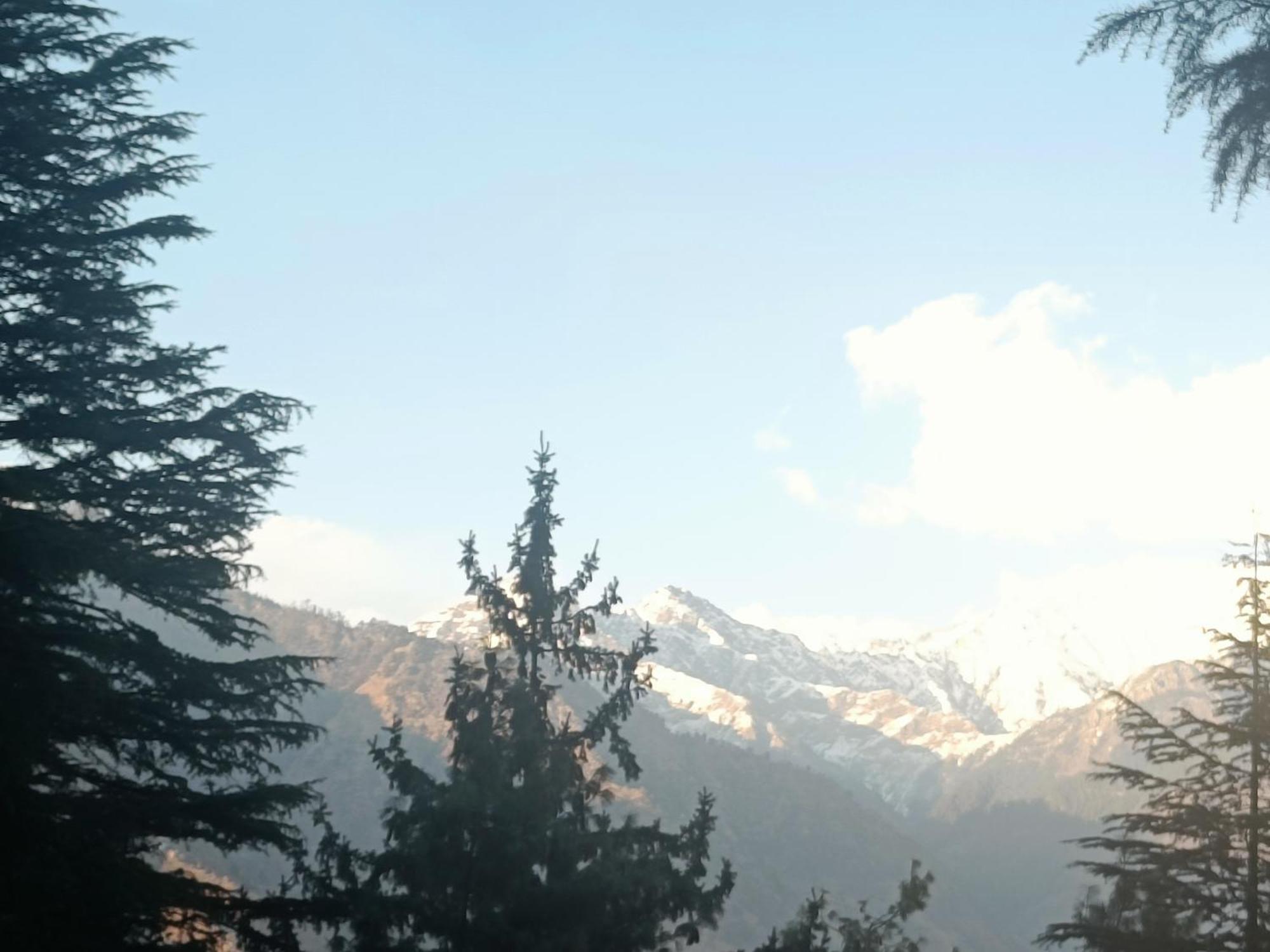 Trimounts-A Boutique Hotel & Wellnes Center In Tirthan Valley Banjar Bagian luar foto